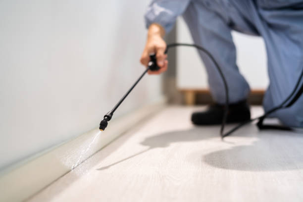 Licensed Cockroach Control service in Crestwood, IL - Nex Pest Control