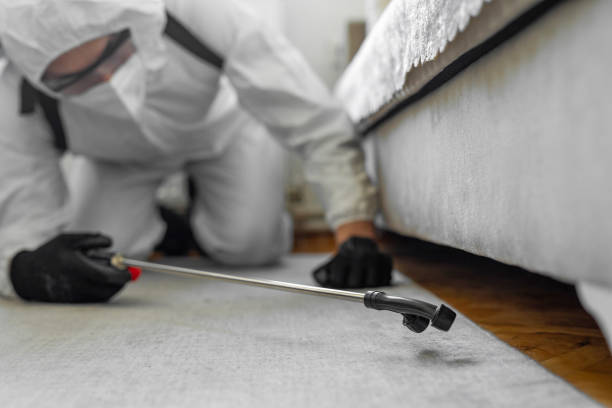 Professional Cockroach Control technician working in Crestwood, IL
