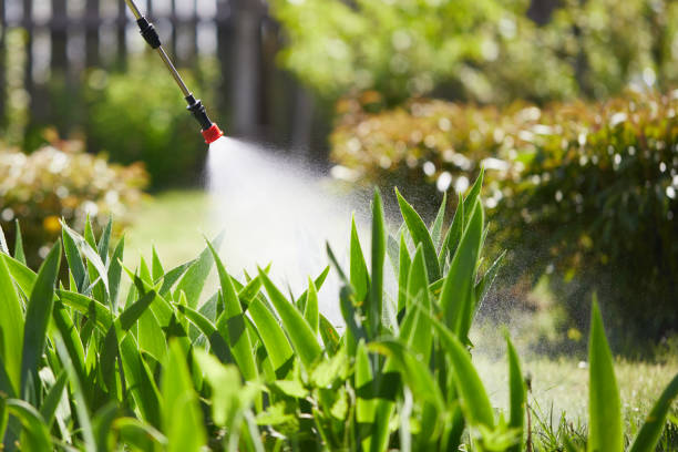 24/7 Emergency Cockroach Control experts in Crestwood, IL
