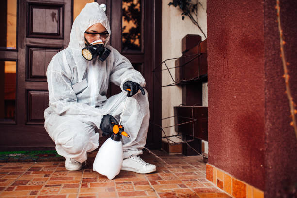 Reliable Cockroach Control contractor in Crestwood, IL by Nex Pest Control