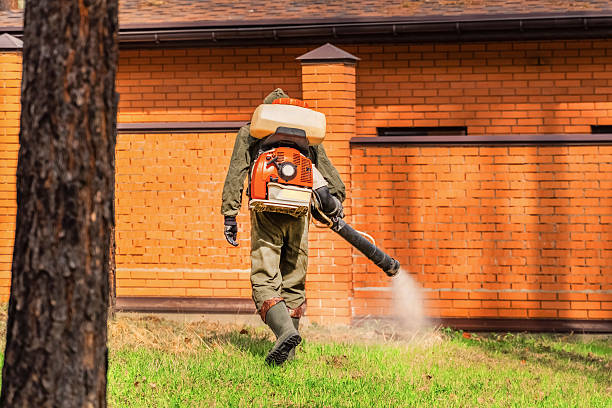 Top rated local Cockroach Control specialists in Crestwood, IL